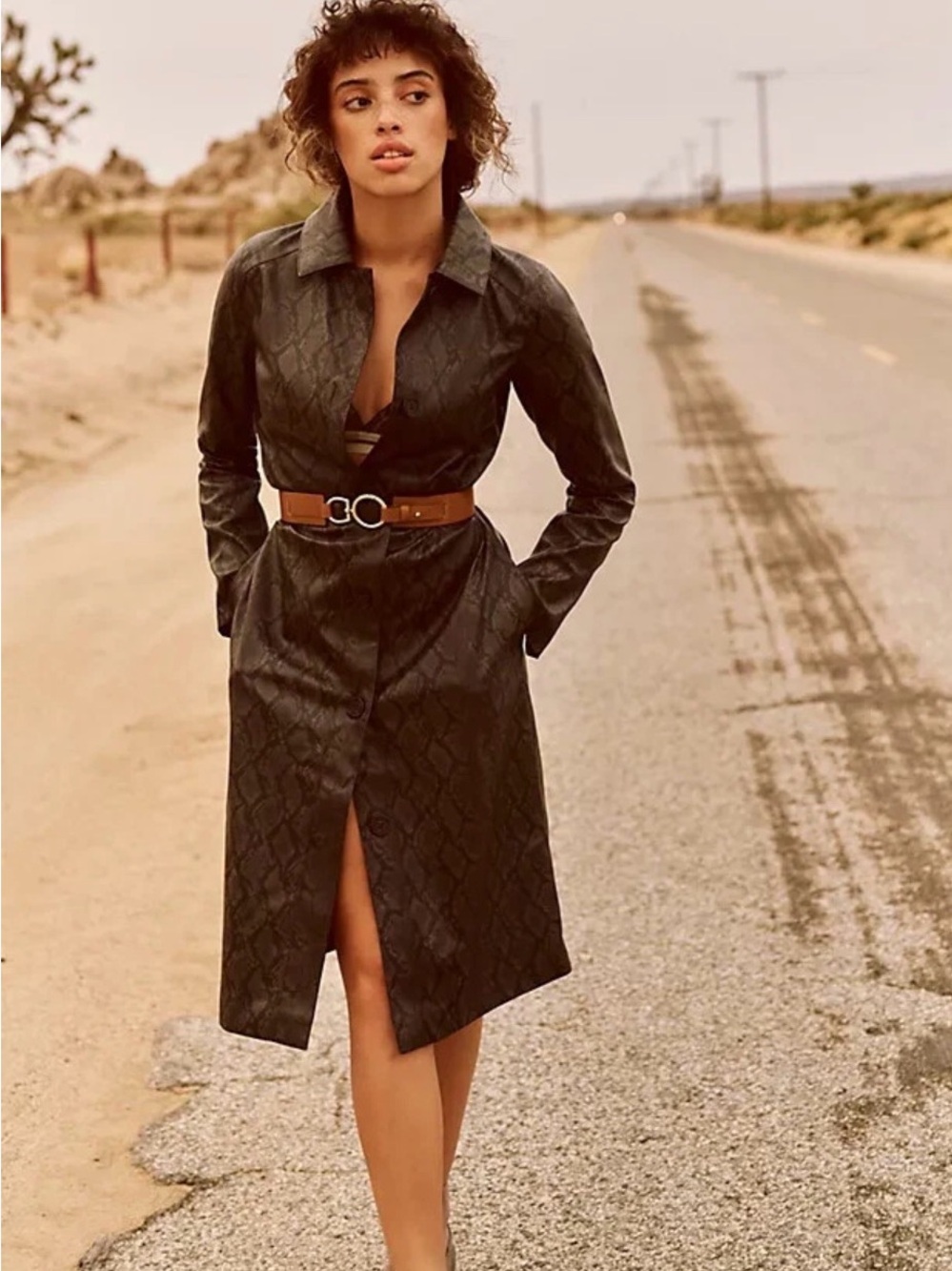 Anthropologie Cupcakes & Cashmere Julian‎ Faux Leather Trench Coat Brown Snake M